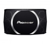 Pioneer CS-X100